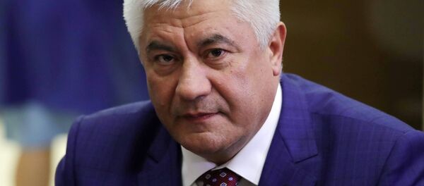 Министр внутренних дел РФ Владимир Колокольцев - Sputnik Узбекистан