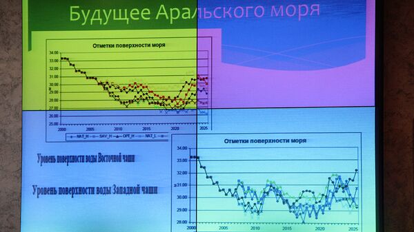 Круглый стол Современные проблемы и возможное будущее Аральского моря - Sputnik Узбекистан