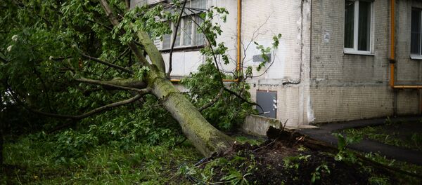 Последствия урагана в Москве - Sputnik Узбекистан