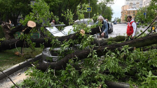 Последствия урагана в Москве - Sputnik Узбекистан