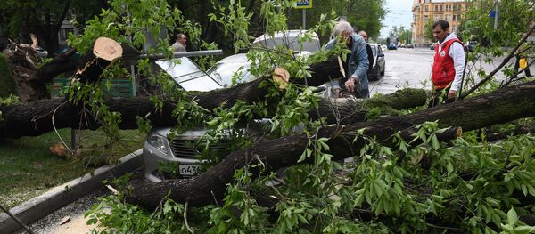 Последствия урагана в Москве - Sputnik Узбекистан