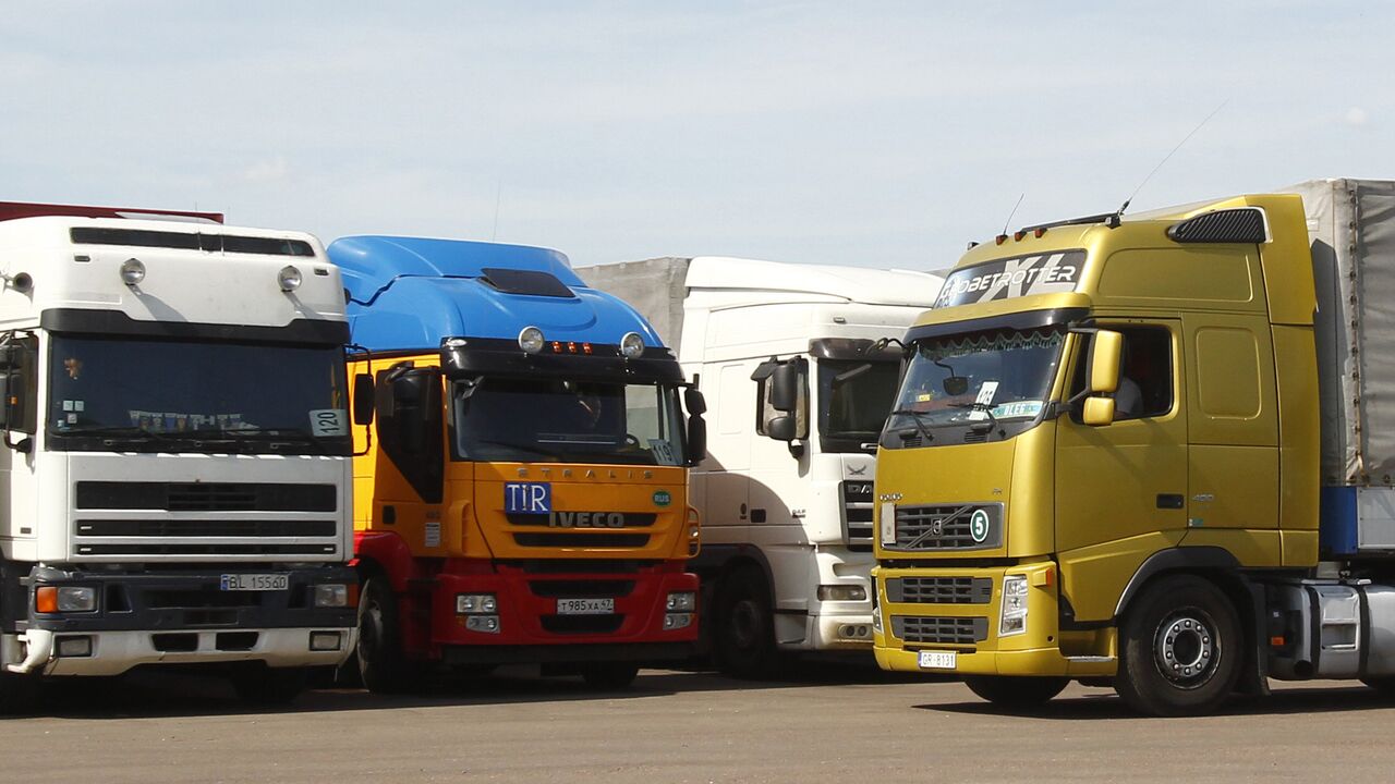 Qorin ustida yotgan eshak