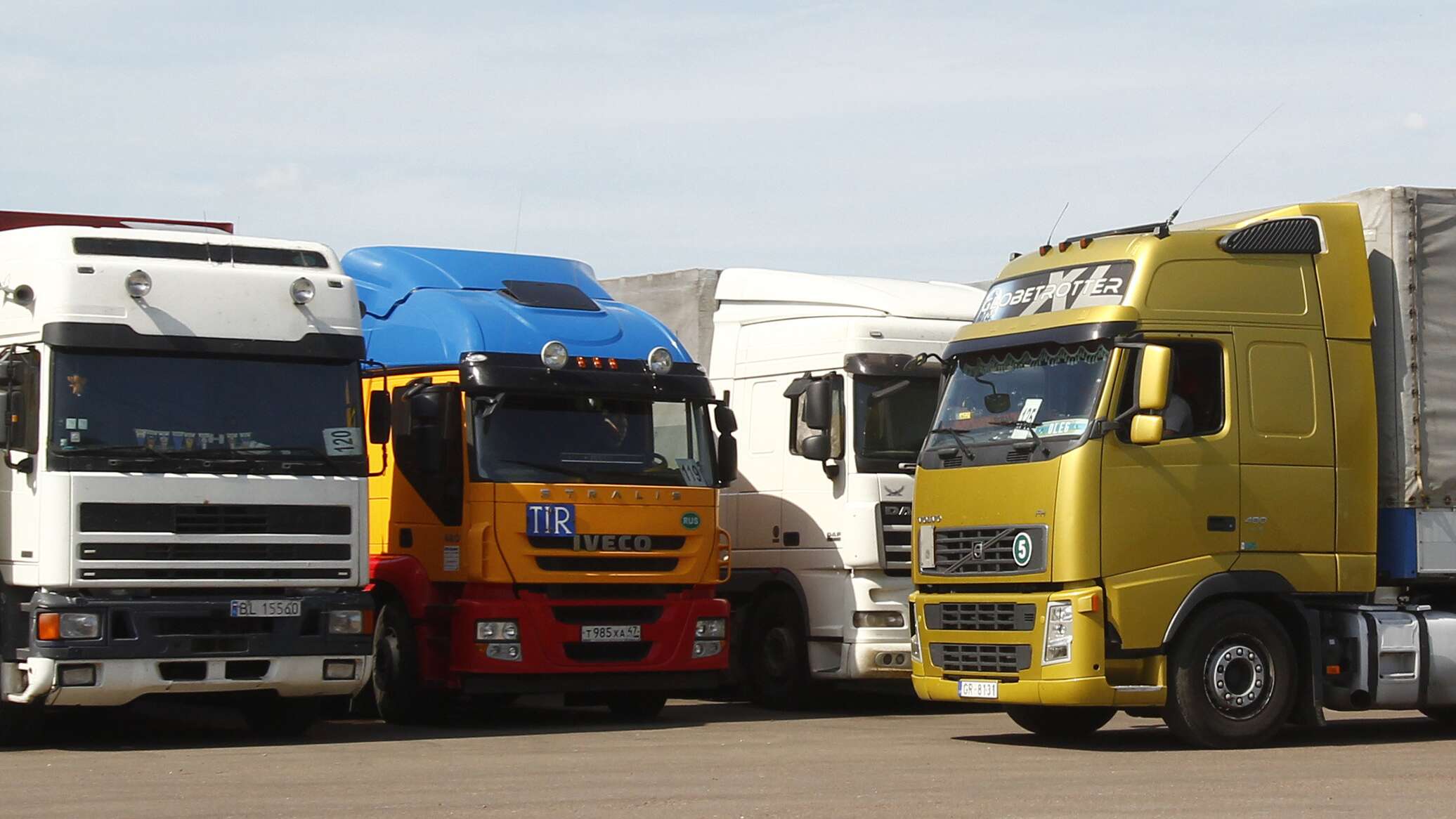 Berkova qanday sikiladi