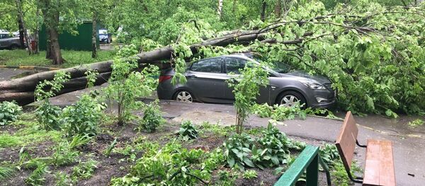 Последствия урагана в Москве Последствия урагана в Москве - Sputnik Узбекистан