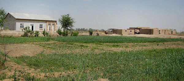 Типичное дехканское хозяйство в Узбекистане: семейный дом, 0,3-0,4 га орошаемой пашни, хозяйственные постройки для скота - Sputnik Узбекистан