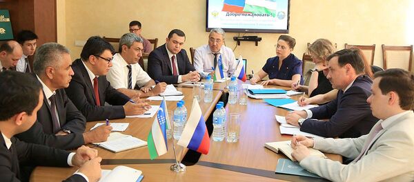 Встреча в Министерстве занятости и трудовых отношений РУз с делегацией Роструда - Sputnik Узбекистан