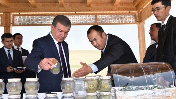 Шавкат Мирзиёев ознакомился с новыми технологиями выращивания семян - Sputnik Узбекистан