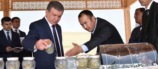 Шавкат Мирзиёев ознакомился с новыми технологиями выращивания семян Шавкат Мирзиёев ознакомился с новыми технологиями выращивания семян - Sputnik Ўзбекистон