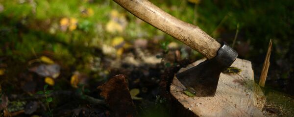 Топор, воткнутый в пень Топор, воткнутый в пень - Sputnik Ўзбекистон