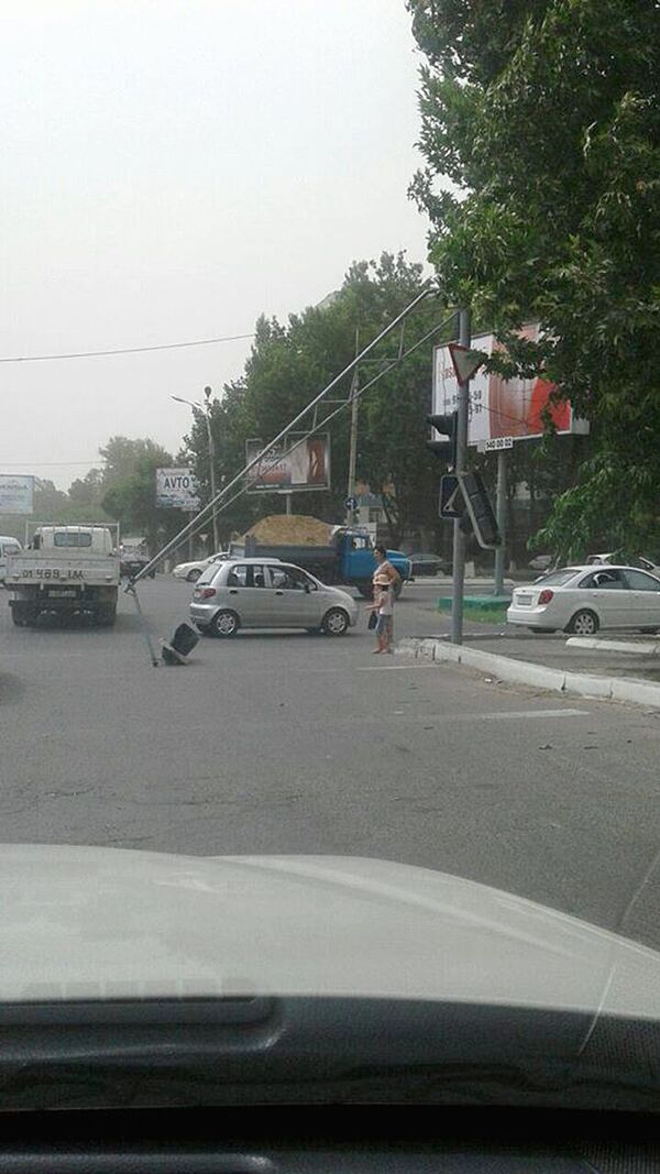 Ураган в Ташкенте Ураган в Ташкенте - Sputnik Узбекистан