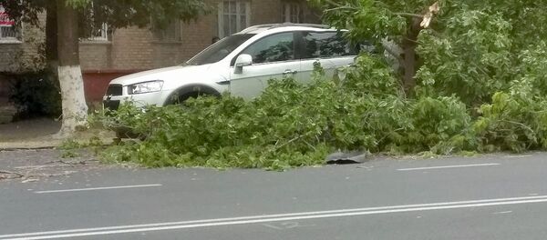 Ураган в Ташкенте Ураган в Ташкенте - Sputnik Ўзбекистон