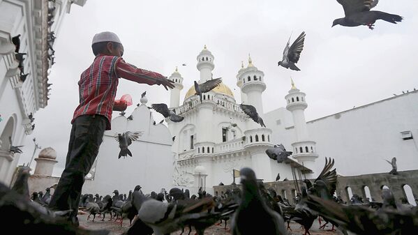 Мальчик кормит голубей после пятничной молитвы - Sputnik Узбекистан