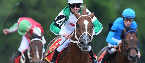 Скачки на приз президента РФ - 2017 Скачки на приз президента РФ - 2017 - Sputnik Ўзбекистон