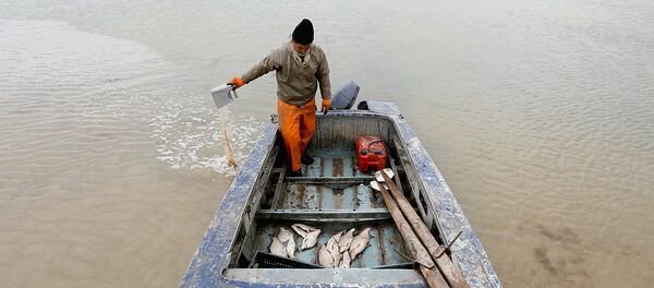 Орол денгизи Орол денгизи - Sputnik Ўзбекистон