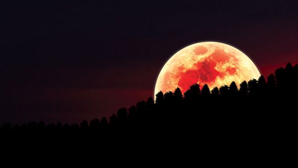 Луна суперлуние ночь лес - Sputnik Узбекистан