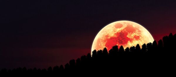 Луна суперлуние ночь лес - Sputnik Узбекистан