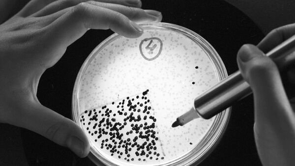 Анализ бактериофагов в лаборатории - Sputnik Ўзбекистон