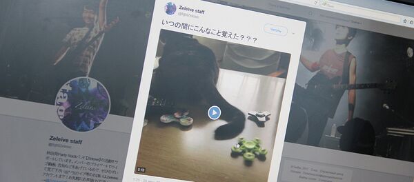 Просмотр ролика о том, как кот научился крутить спиннер хвостом Просмотр ролика о том, как кот научился крутить спиннер хвостом - Sputnik Узбекистан