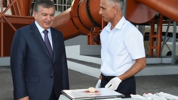 Президент Шавкат Мирзиёев посетил в Папском районе завод по производству угольных брикетов при акционерном обществе Узбекистон темир йуллари - Sputnik Узбекистан