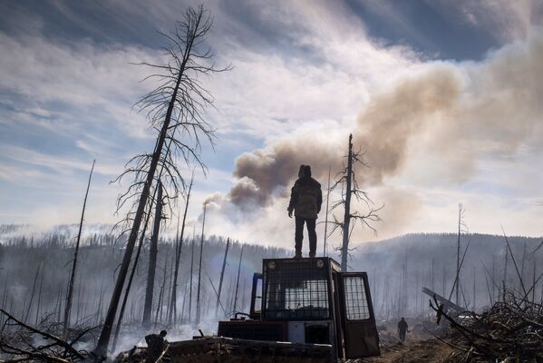 Последствия лесных пожаров в Бурятии - Sputnik Узбекистан