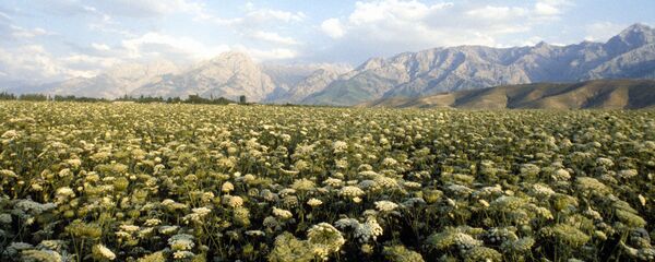 Ферганская долина в Узбекистан Ферганская долина в Узбекистан - Sputnik Узбекистан