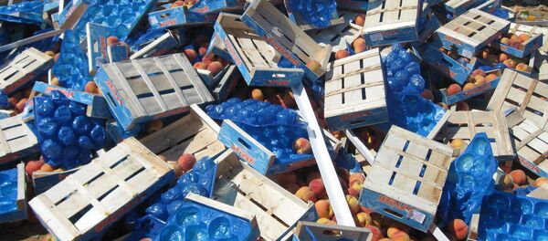 Unichtojenie sanksionnoy produksii v Rossii - Sputnik O‘zbekiston