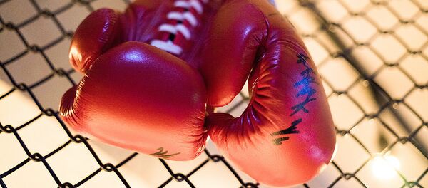 Боксерские перчатки Боксерские перчатки - Sputnik Узбекистан