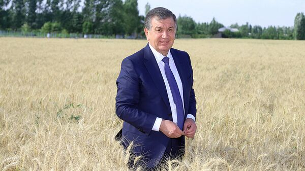 Президент Узбекистана Шавкат Мирзиёев - Sputnik Узбекистан