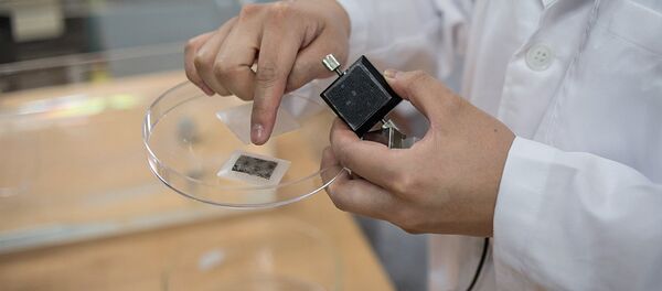 Пластырь, разработанный южнокорейскими учеными - Sputnik Узбекистан