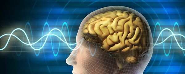 Работа мозга - Sputnik Узбекистан