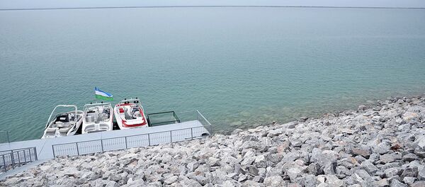 Сардобское водохранилище в Узбекистане Сардобское водохранилище в Узбекистане - Sputnik Узбекистан