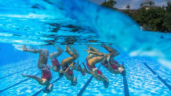 Тренировка женской команды по синхронному плаванию на ЧМ в Будапеште - Sputnik Узбекистан