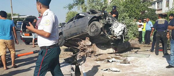В Ташкенте автомобиль Ласетти врезался в дерево на скорости 120 км/ч В Ташкенте автомобиль Ласетти врезался в дерево на скорости 120 км/ч - Sputnik Ўзбекистон