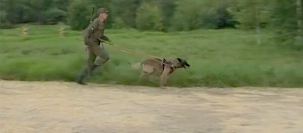 Тренировка команд-участниц кинологического конкурса Верный друг в рамках АрМИ2017 Тренировка команд-участниц кинологического конкурса Верный друг в рамках АрМИ2017 - Sputnik Узбекистан