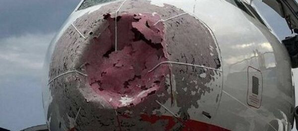 Povrejdeniya samolyota, kotoriy posadil Aleksandr Akopov - Sputnik O‘zbekiston