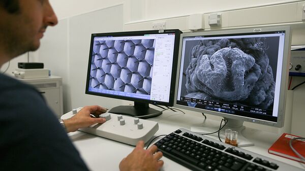 Ученый изучает  ДНК с помощью электронного микроскопа - Sputnik Ўзбекистон