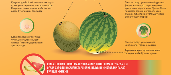 Qovun tarvuz - Sputnik O‘zbekiston