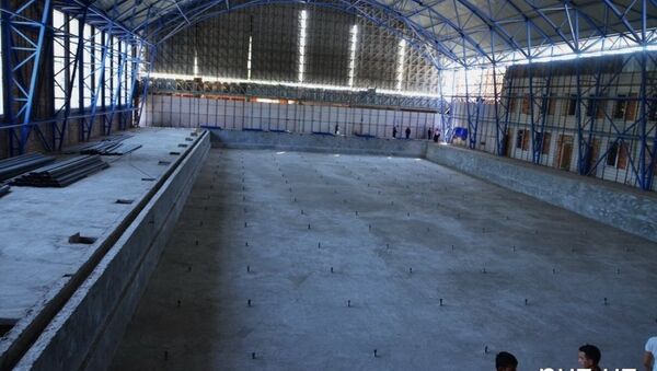 Строительство бассейна в Республиканском колледже олимпийского резерва - Sputnik Узбекистан