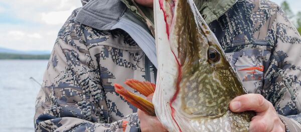 В. Путин на отдыхе - Sputnik Узбекистан