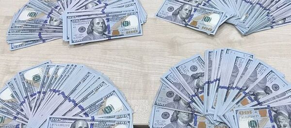 Сотрудники Домодедовской таможни изъяли особо крупную сумму валюты при попытке незаконного ввоза Сотрудники Домодедовской таможни изъяли особо крупную сумму валюты при попытке незаконного ввоза - Sputnik Ўзбекистон