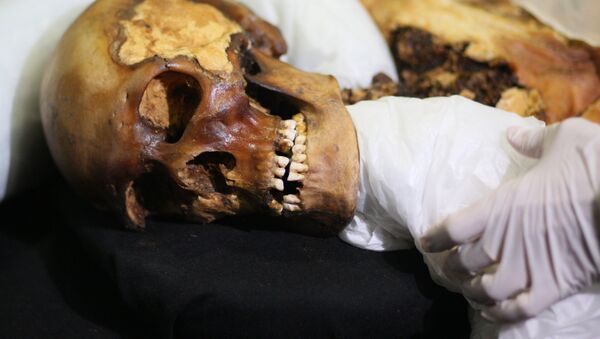 Сотрудники музея института археологии и этнографии  упаковывают мумию - Sputnik Узбекистан