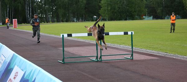 Узбекистан на конкурсе Верный друг в рамках АрМИ-2017 - Sputnik Узбекистан