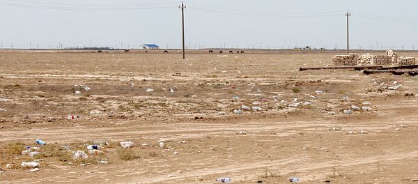 Казахстанско-узбекская граница Казахстанско-узбекская граница - Sputnik Ўзбекистон