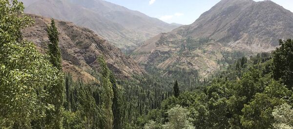 Горы в районе поселка Гилан в Шахрисабзском районе Кашкадарьинской области Горы в районе поселка Гилан в Шахрисабзском районе Кашкадарьинской области - Sputnik Ўзбекистон