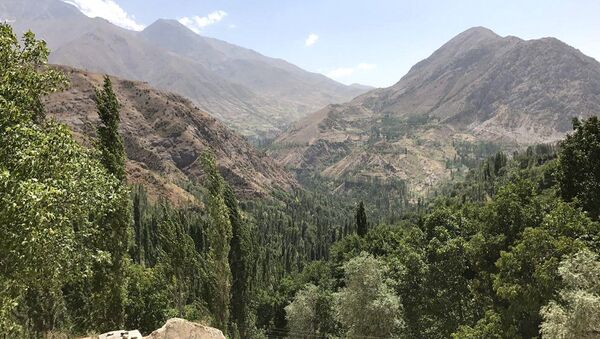 Горы в районе поселка Гилан в Шахрисабзском районе Кашкадарьинской области - Sputnik Узбекистан