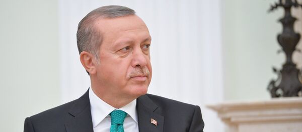Президент Турции Реджеп Тайип Эрдоган - Sputnik Узбекистан