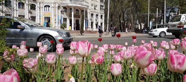 Город Душанбе, архивное фото Город Душанбе, архивное фото - Sputnik Узбекистан