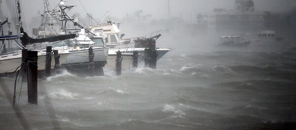 Ураган Ирма Ураган Ирма - Sputnik Ўзбекистон