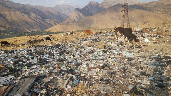 Активисты предлагают Союзу молодежи организовать акцию по сбору мусора Активисты предлагают Союзу молодежи организовать акцию по сбору мусора - Sputnik Узбекистан