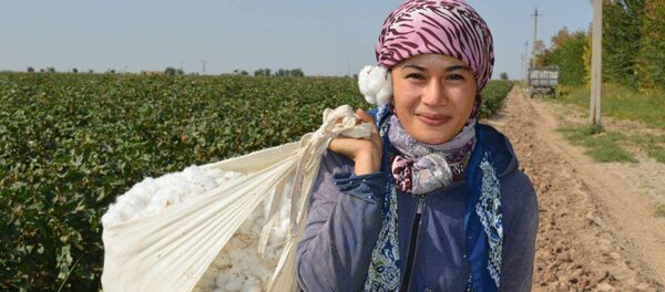 Девушка на сборе хлопка Девушка на сборе хлопка - Sputnik Ўзбекистон